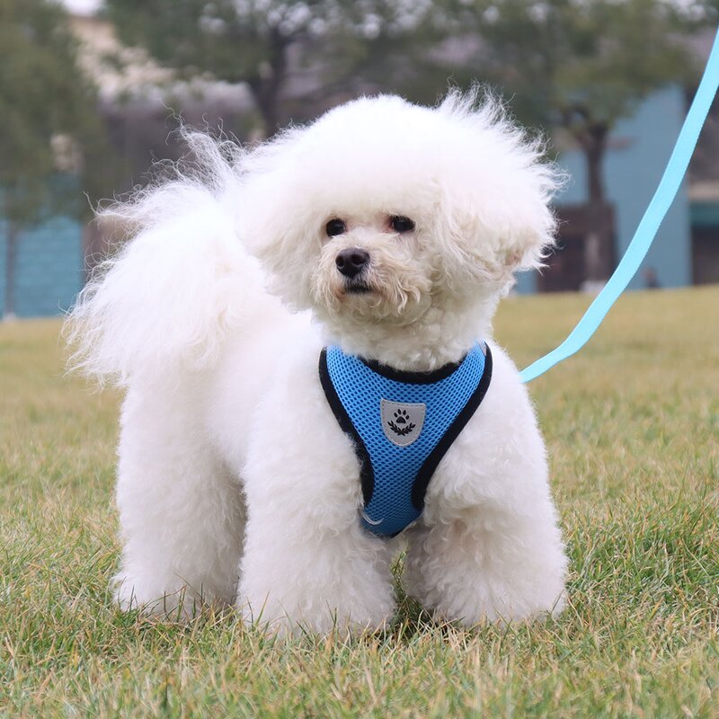 Pet Harness Manufacturer - High Quality Breathable Reflective Harness