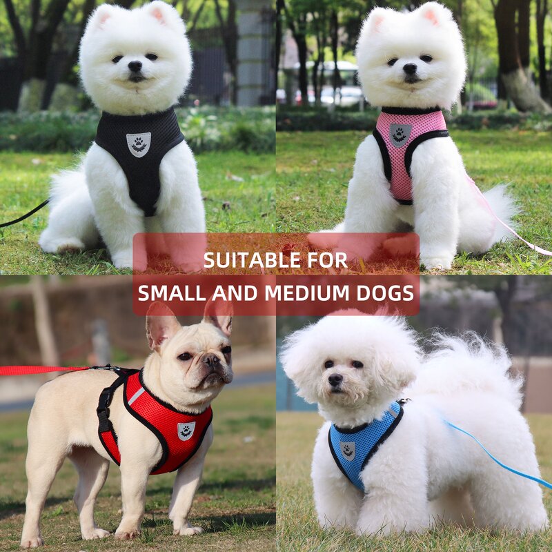 Dog Harness Manufacturer - OEM Custom Pattern Logo Pet Harness