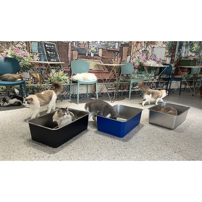 Cat Litter Box Manufacturer - OEM Custom XL Anti-Leakage Litter Box