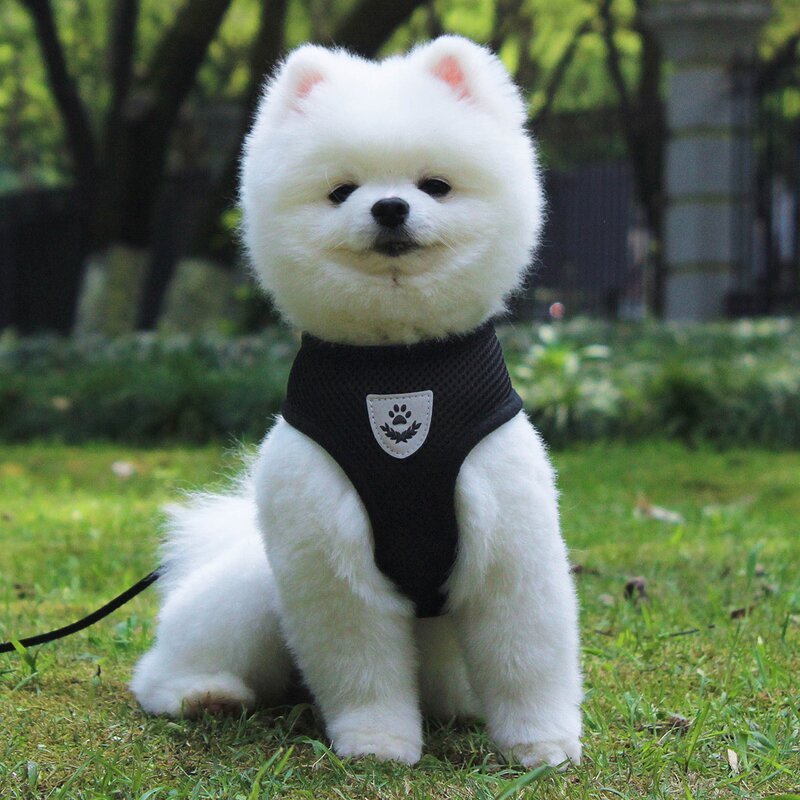 Pet Harness Manufacturer - High Quality Breathable Reflective Harness
