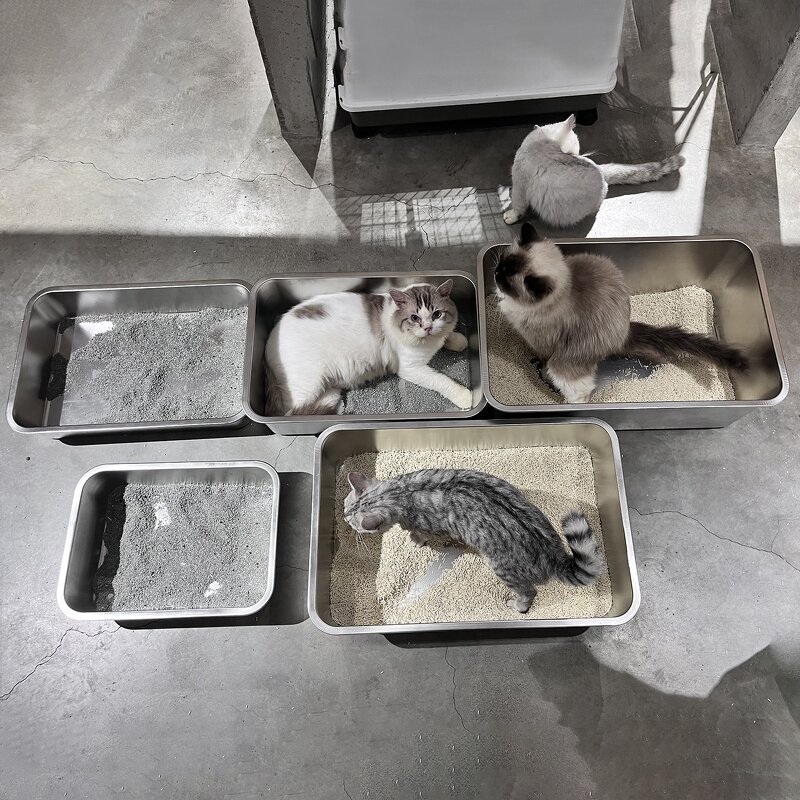 Cat Litter Box Manufacturer - Sturdy Easy Clean Open Air Stainless Pan