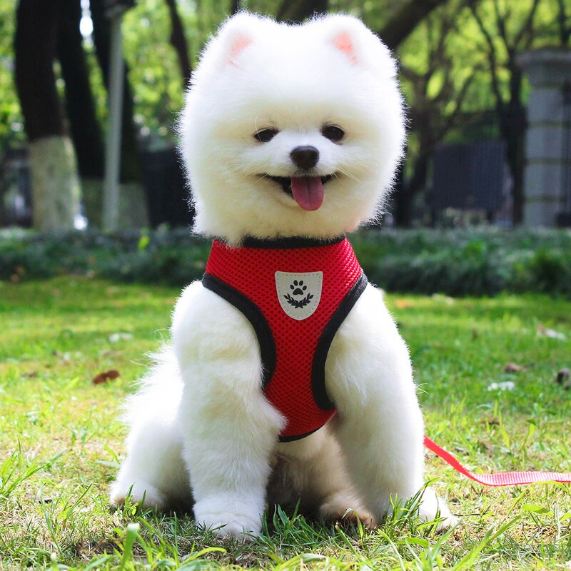 Pet Harness Manufacturer - High Quality Breathable Reflective Harness