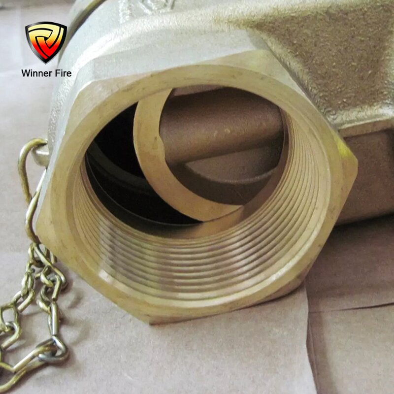 Fire Hose Valve Manufacturer - 2-1/2 in FNPT X MNST 300 Brass Valve