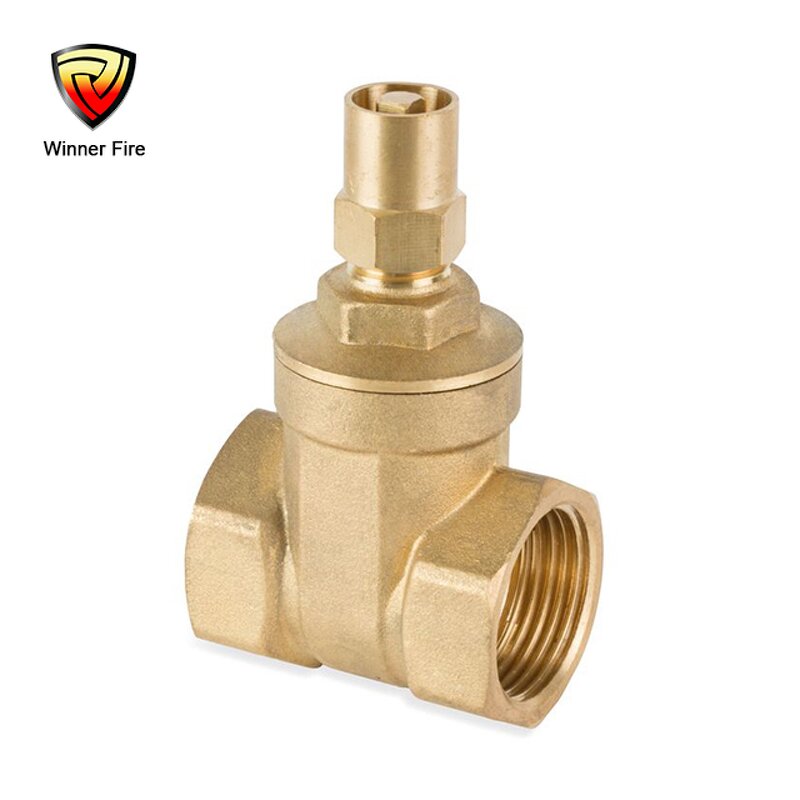 Fire Hose Reel Valve Manufacturer - DN25 Brass 1" Lock Shield Valve