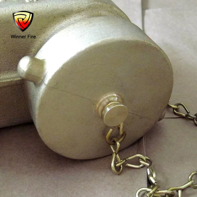 Fire Hose Valve Manufacturer - 2-1/2 in FNPT X MNST 300 Brass Valve