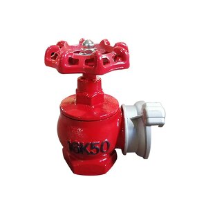 Fire Hydrant Valve Manufacturer - Ductile Iron for Vietnam Russia