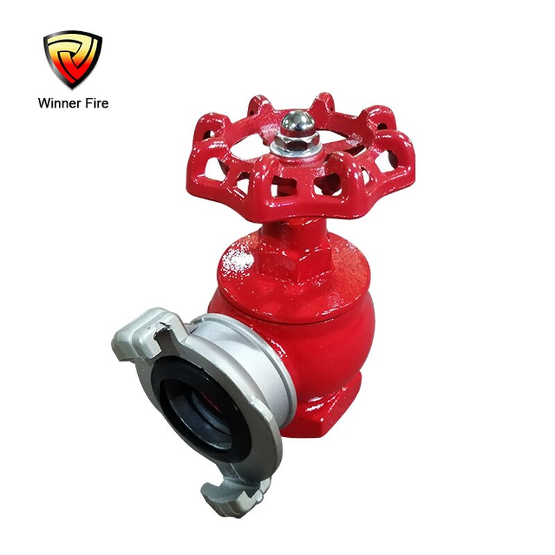 Fire Hydrant Valve Manufacturer - Ductile Iron for Vietnam Russia