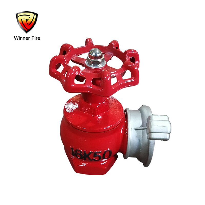 Fire Hydrant Valve Manufacturer - Ductile Iron for Vietnam Russia