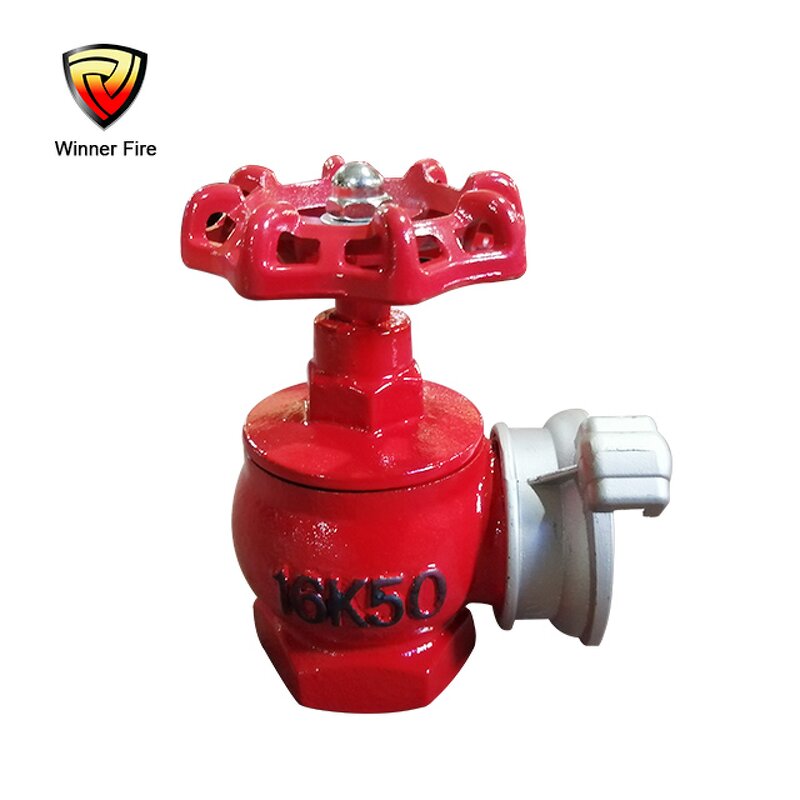 Fire Hydrant Valve Manufacturer - Ductile Iron for Vietnam Russia