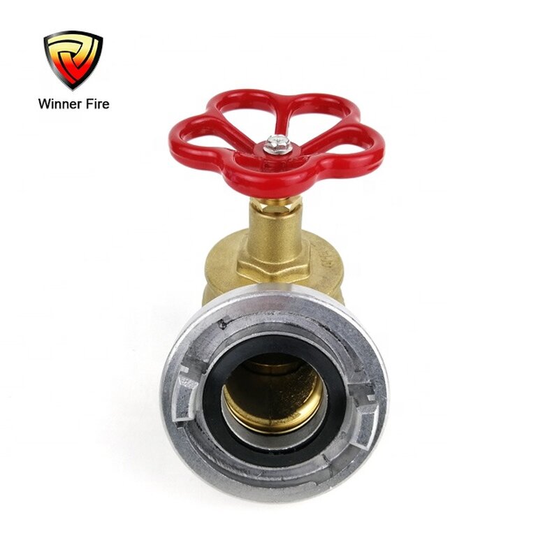 Fire Hose Angle Valve Manufacturer - 2 Inch Brass Oblique with Storz