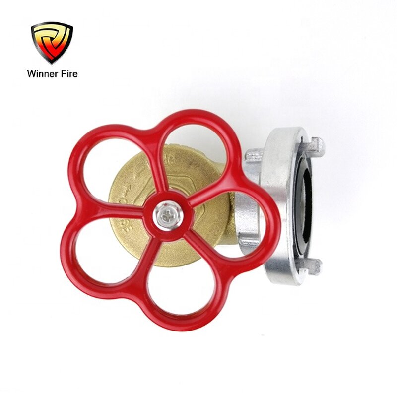 Fire Hose Angle Valve Manufacturer - 2 Inch Brass Oblique with Storz