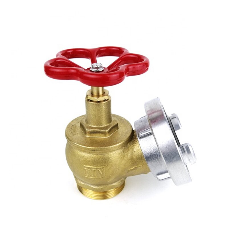 Landing Valve Manufacturer - 2" BSP X BSP Angle Hydrant Valve