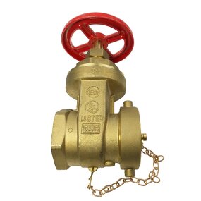 Fire Hose Valve Manufacturer - 2-1/2 in FNPT X MNST 300 Brass Valve