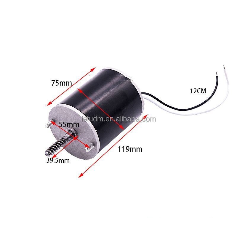 DC Motor Manufacturer - Small 48V 1800 RPM Brush Motor for Claw Machine