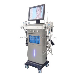 Facial Skin Rejuvenation Machine 2024 Smart Ice Blue Facial Machine Hydrobeauty Facial Profesional Machine