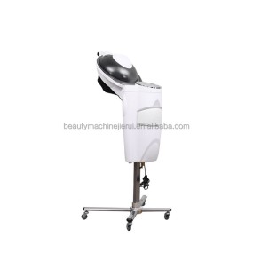 Hair Salon Equipment Micro Mist Professional LED Lights Hair Spa Steamer