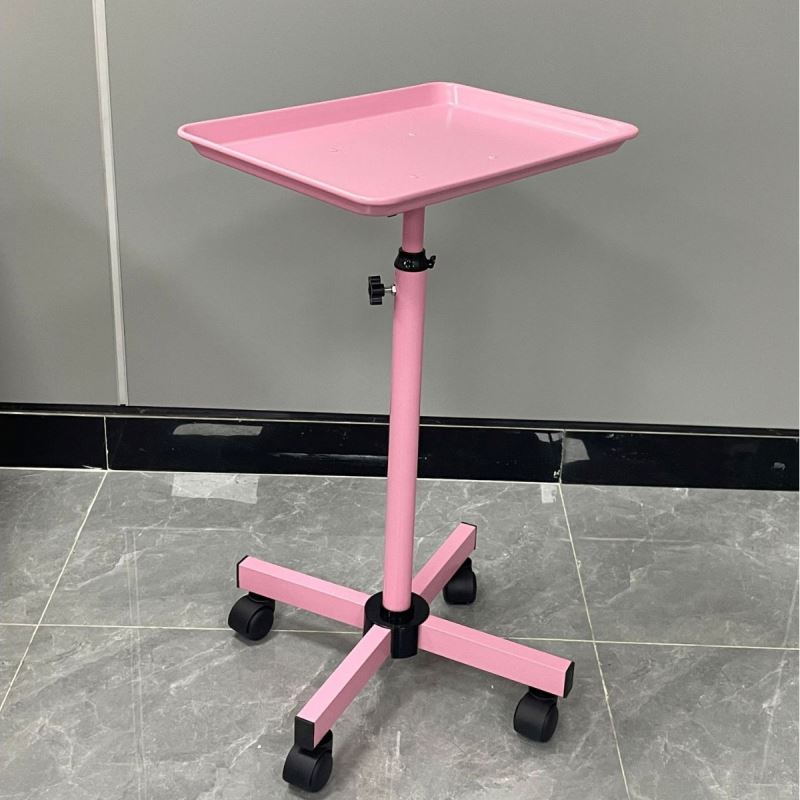 Hair Stylist Hairdressing Tool Storage Trolley With Tools Holders Salon Rolling Hair Color Tray Portable Cart on Wheels