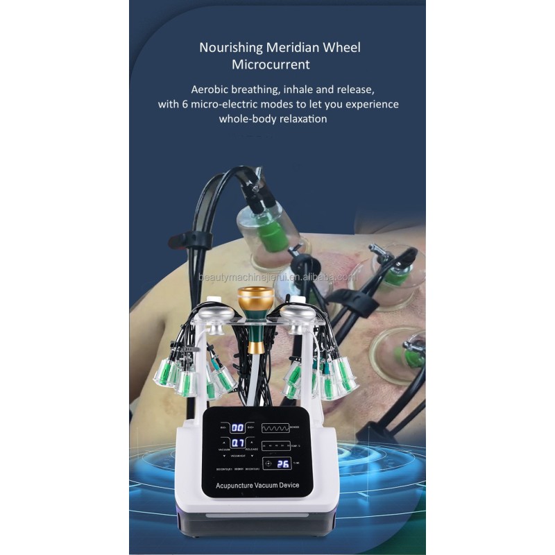 Electric Meridian Warming Moxibustion Device Hot Stone Scraping SPA Guasha Massage Machine