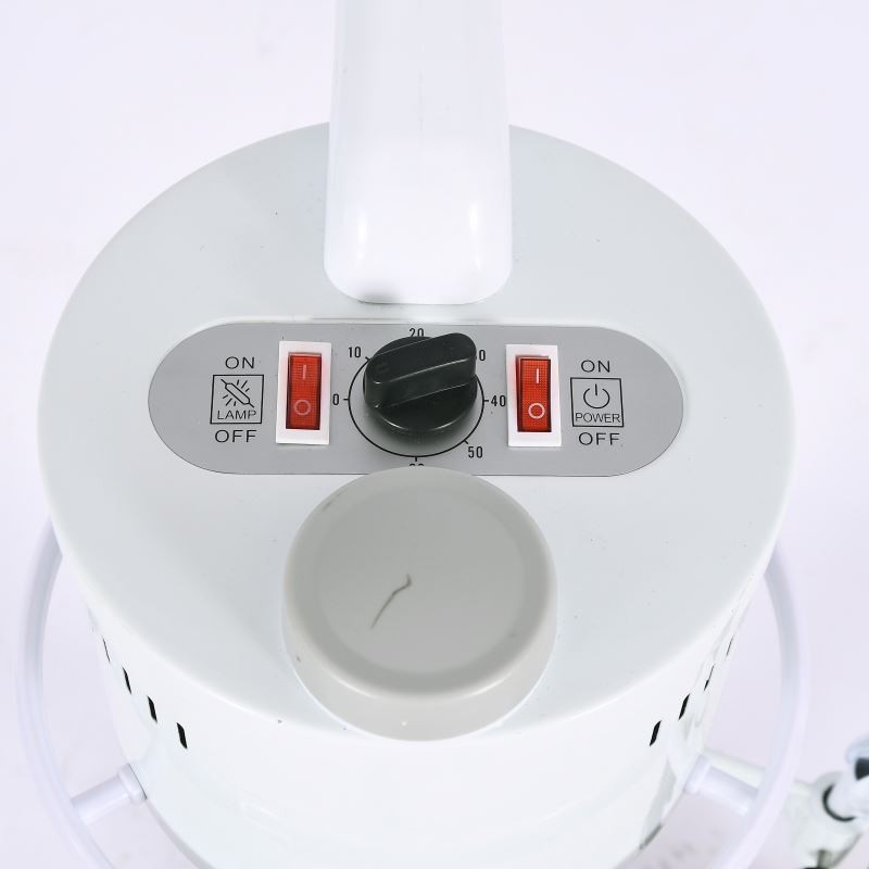 SPA Home Use New Beauty Equipment Skin Moisture Small Size Facial Steamer Hot And Cool Ozone Face Spa Facial Steamer With Lamp