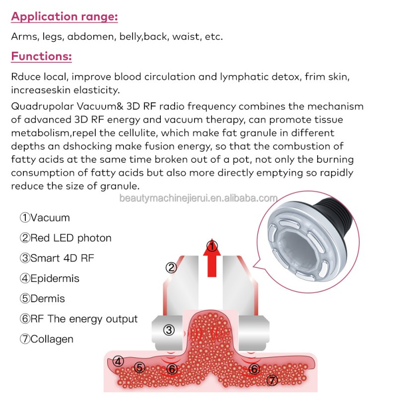 Portable 11 in 1 Vacuum Rf Face Lift Skin Rejuvenation Body Massage Beauty Machine