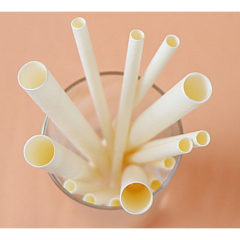 Straw Supplier - Glass Paper Plastic Straws OEM Custom