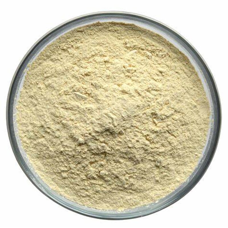 Soy Protein Supplier - Concentrated Protein 9010-10-0