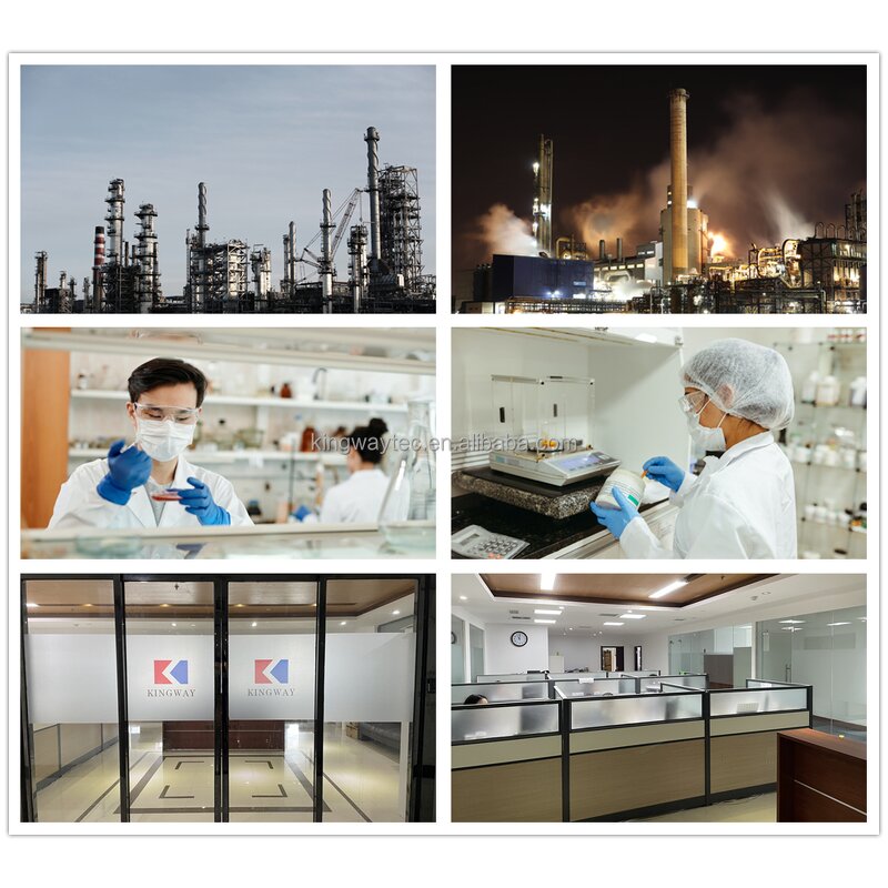 Molecular Sieve Manufacturer - Ti-Si Catalyst Support