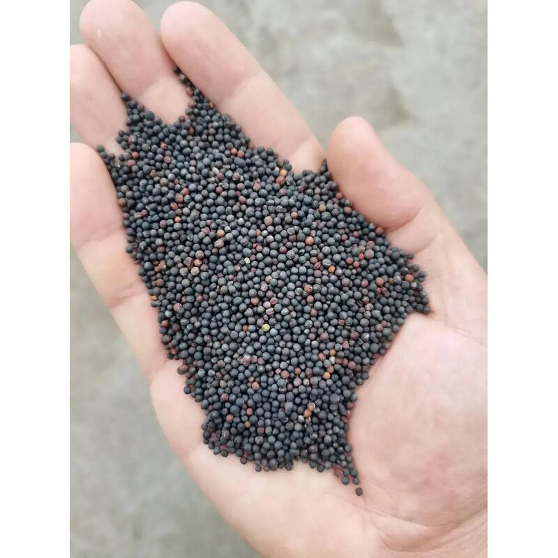 Rapeseed Oil Flavor Factory - Concentrate for Seasonings Biscuits