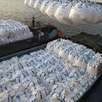 Purified Terephthalic Acid (PTA)