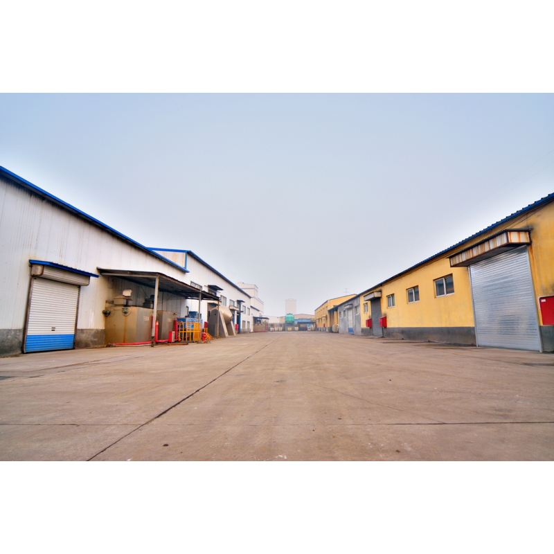 Chlorinated Polypropylene Manufacturer - CPP Resin CAS 68442-33-1