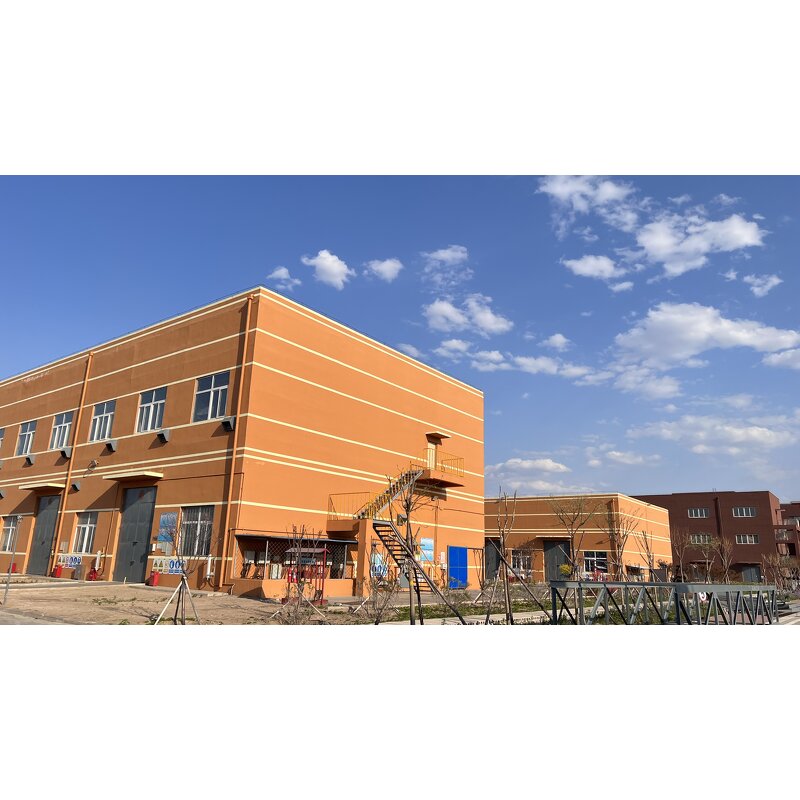 Choline Chloride Supplier - 50/75/98% Bulk Supply CAS 67-48-1