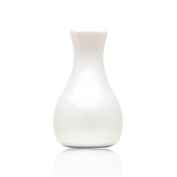 Magic Skin Cooler Tightening Firming Skin Anti Wrinkle Ice Cooler Skin Care Ice Roller Globe , Ice Globe Facial Massager