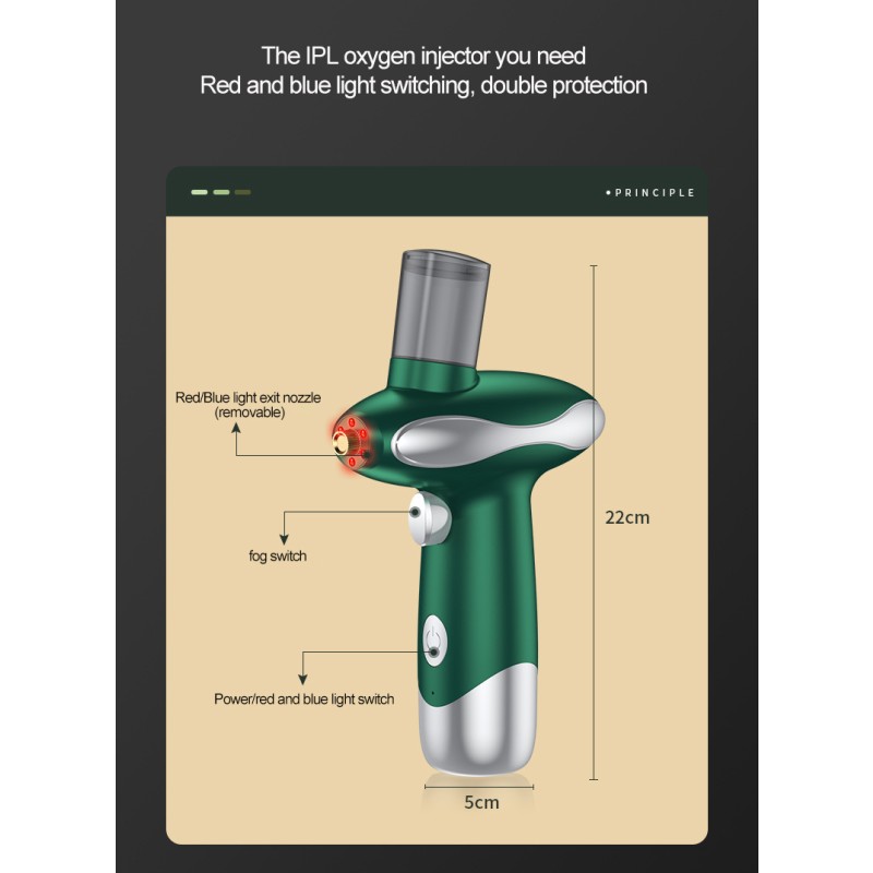 Esthetician Equipment Facial Care Sprayers Facial and Beauty Electric Oxygen Injector Nano Mist Sprayer