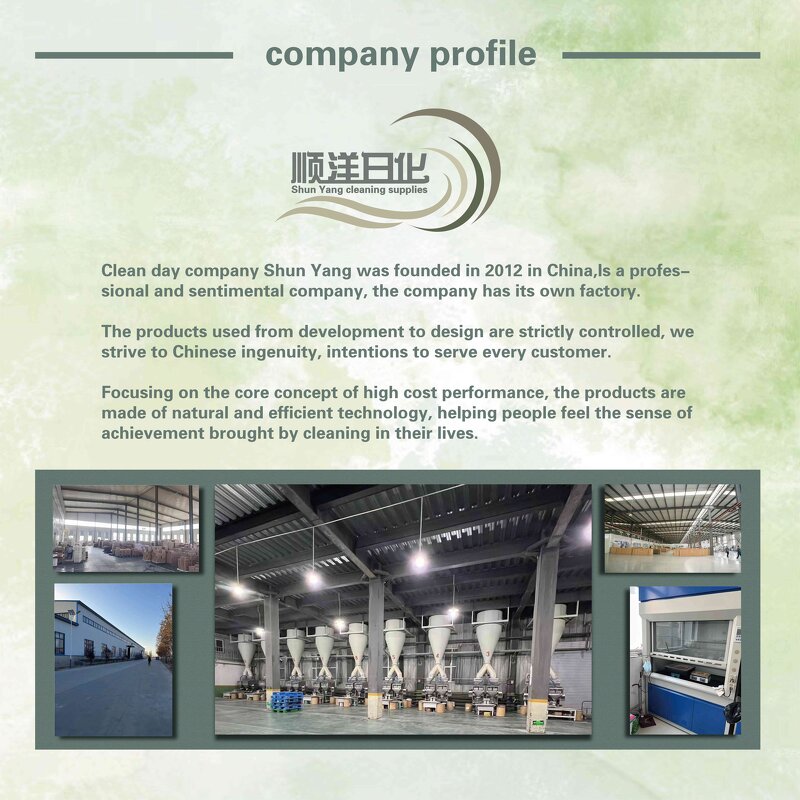 Toilet Cleaner Manufacturer - OEM/ODM Factory