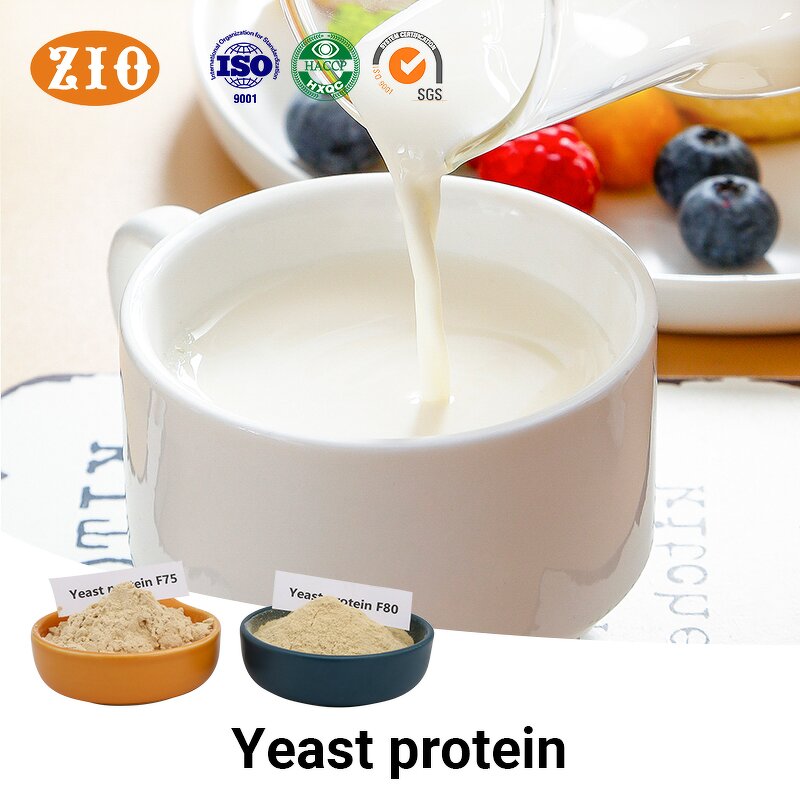 Yeast Protein Isolate Manufacturer - OEM/ODM Factory