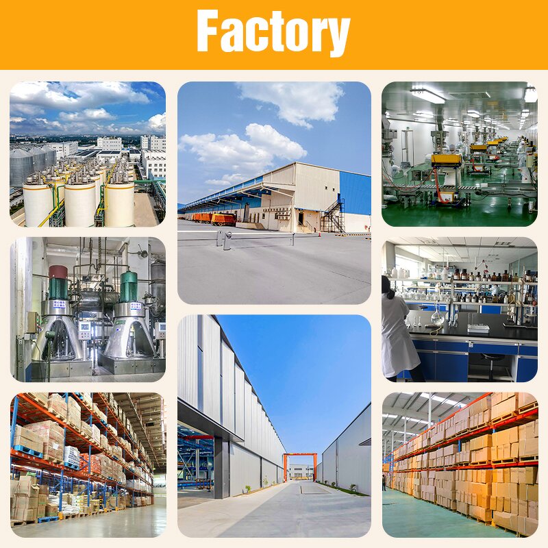 Yeast Protein Isolate Manufacturer - OEM/ODM Factory
