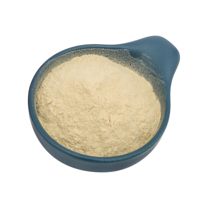Yeast Protein Isolate Manufacturer - OEM/ODM Factory