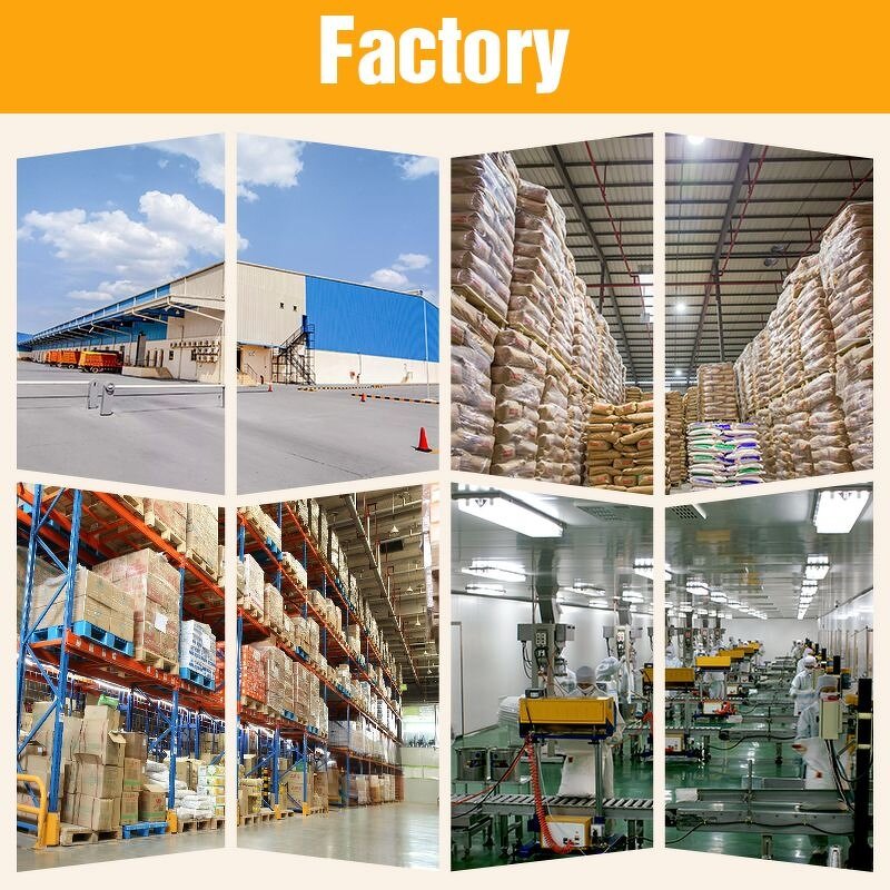 Beta-Nicotinamide Mononucleotide Manufacturer - OEM/ODM Factory