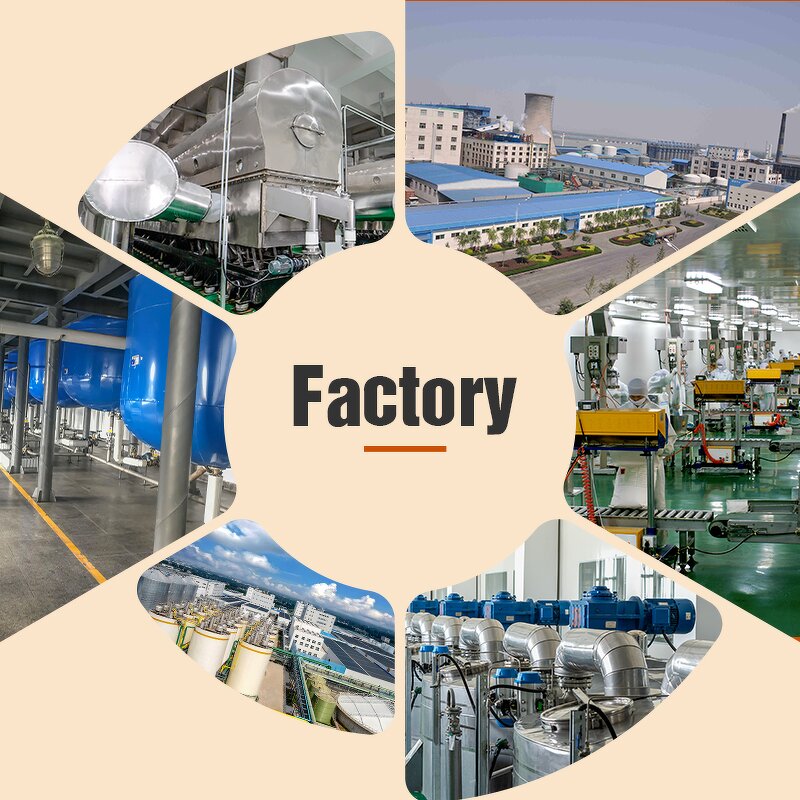 Yeast Protein Isolate Manufacturer - OEM/ODM Factory