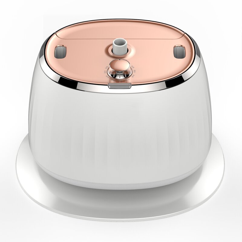 Steam Iron Manufacturer - 2000W Appliance Stand Hanger Brush Professional