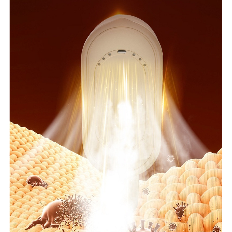 Handheld Garment Steamer Factory - Wet Dry Electric Steam Iron Titanium Base