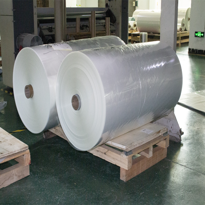 Heat Transfer PET Film Manufacturer - OEM/ODM Factory