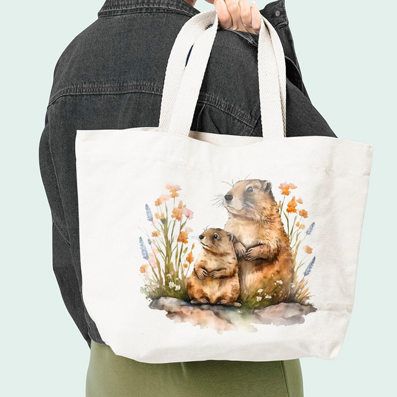 DTF PET Film Roll Manufacturer - OEM/ODM Factory