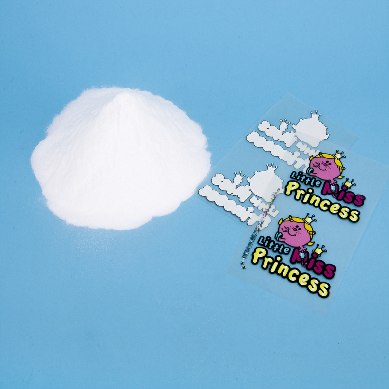 DTF Hot Melt Powder Manufacturer - OEM/ODM Factory