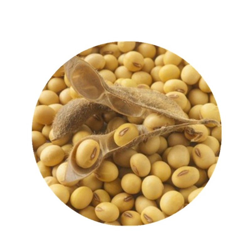 Food Grade 90% Non-GMO Isolated Soy Protein Supplements Powder