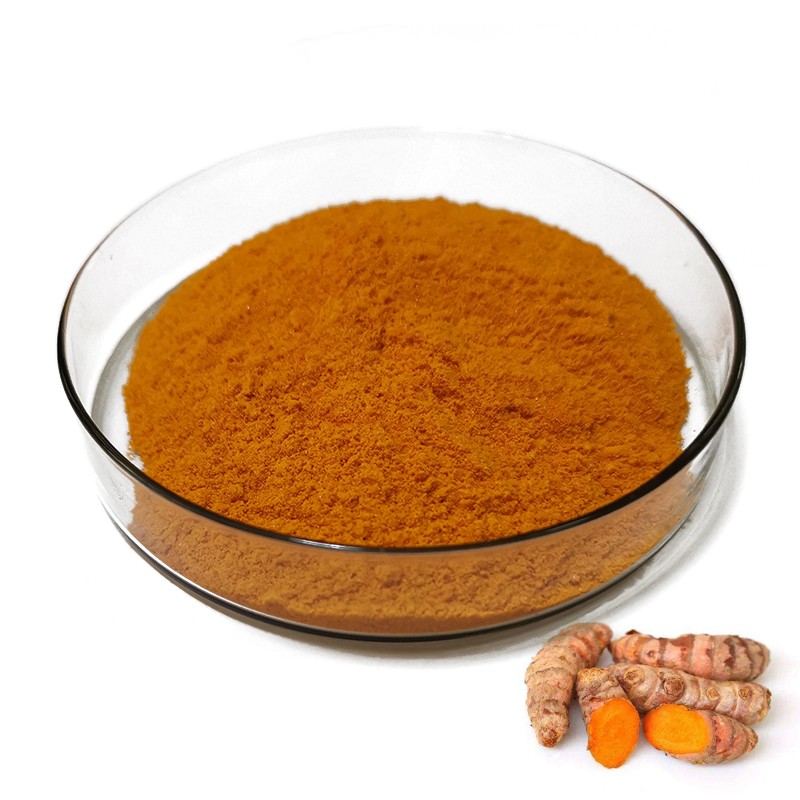 Bulk Water Soluble 10% Curcumin Turmeric Extract Curcumin Powder