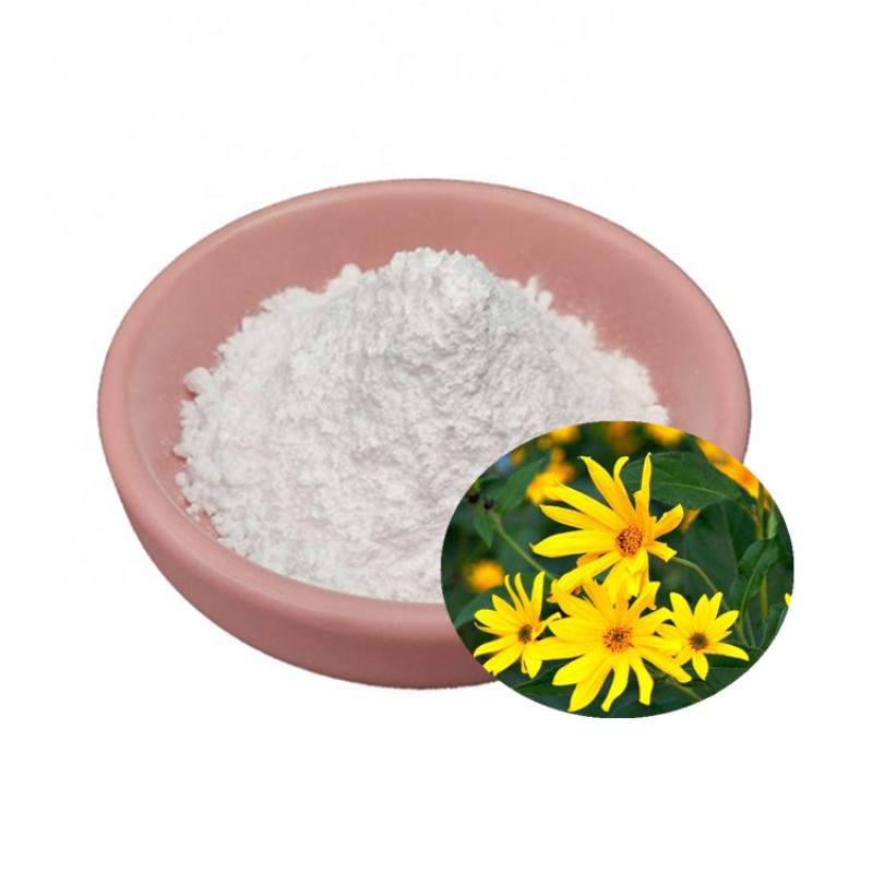 Bulk food supplement chicory extract inulin chicory root extract inulin powder