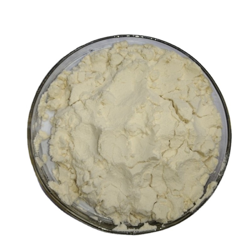 Food Grade 90% Non-GMO Isolated Soy Protein Supplements Powder