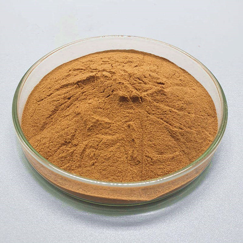 Natural Health Supplement Shilajit Extract Powder Shilajit Powder