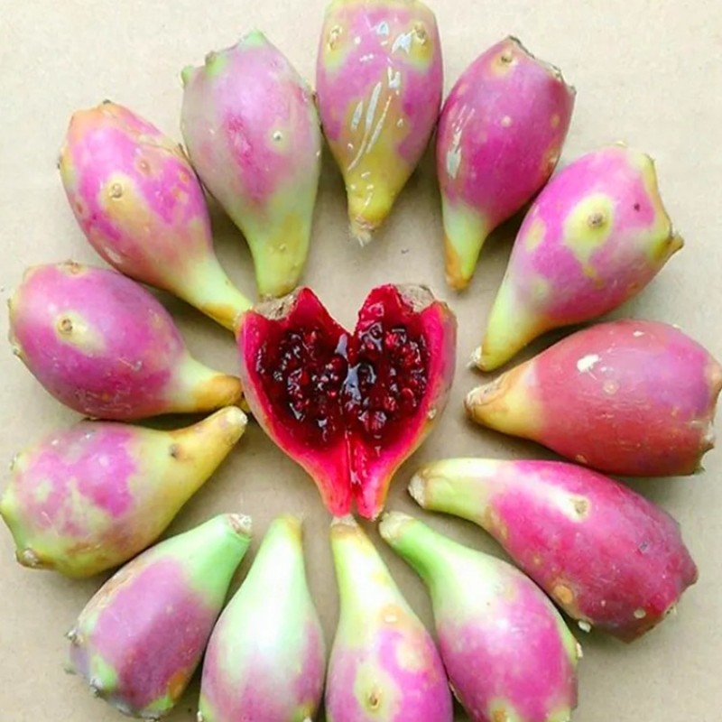 Natural Opuntia Ficus-indica Powder Cactus Fruit Extract Powder Cactus Fruit Powder